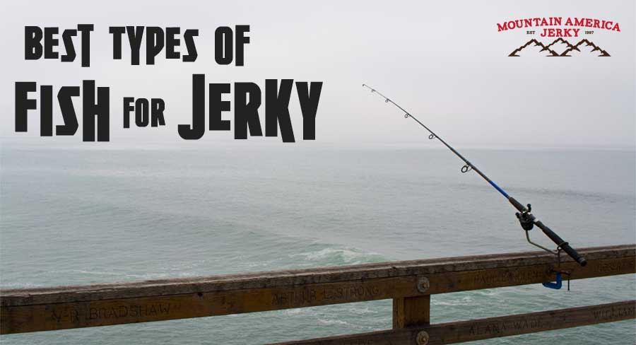 Best Types of Fish for Jerky