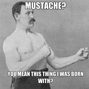 https://mountainamericajerky.com/wp-content/uploads/2015/02/manlyman-mustache-300x300.jpg