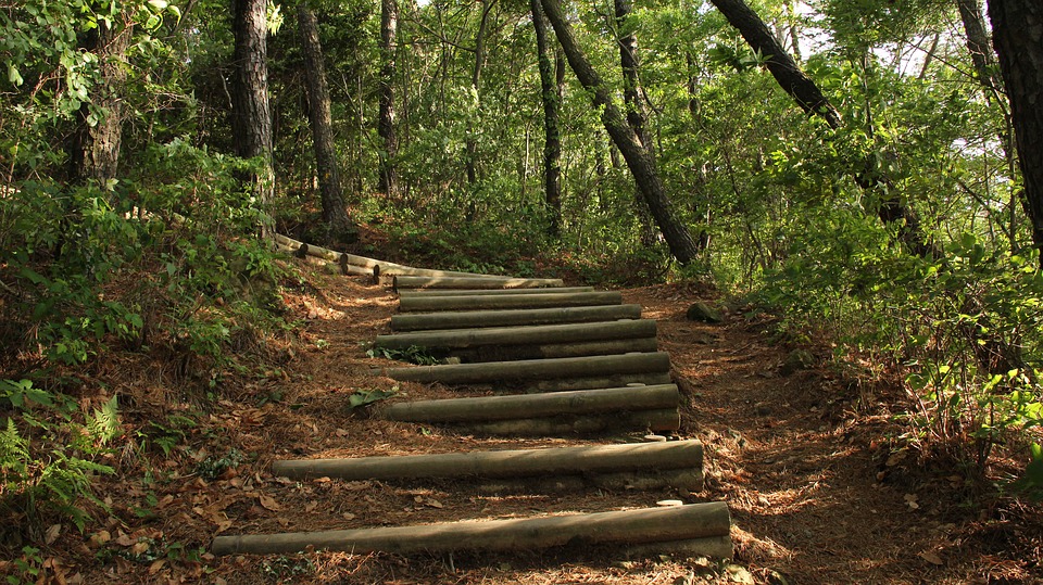 Trail running, beef jerky 